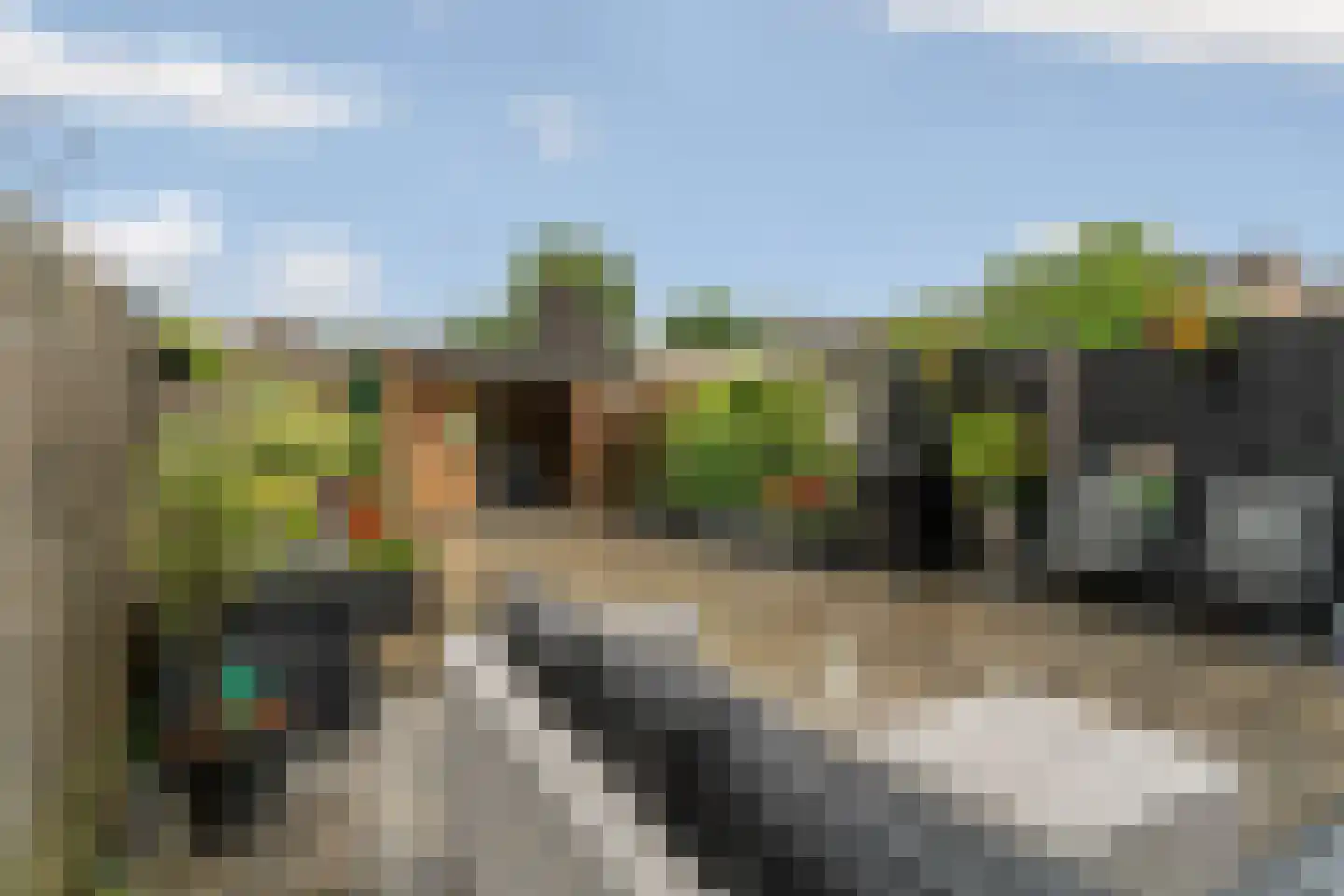 Zwinpad 9 Almere thumbnail 38