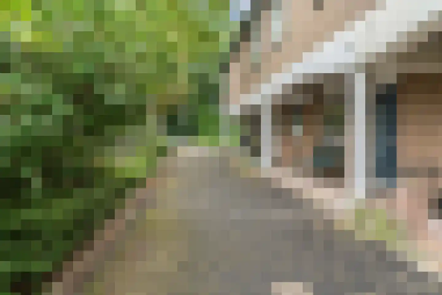 Zwinpad 9 Almere thumbnail 43