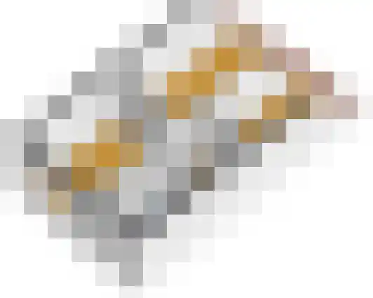 Zwinpad 9 Almere thumbnail 50