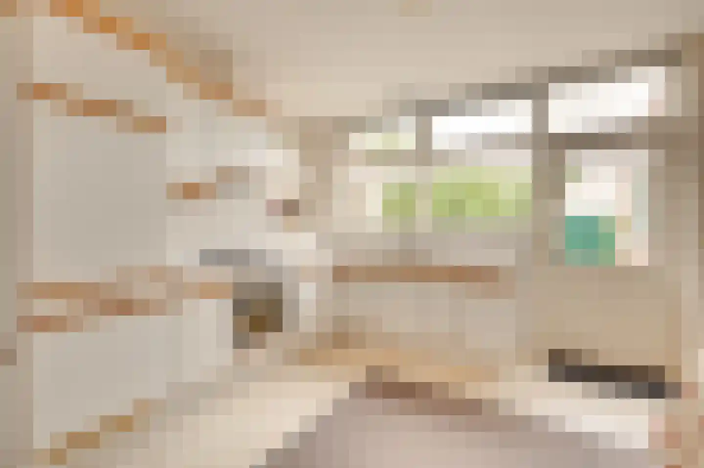 Zwinstraat 11 Retranchement thumbnail 17
