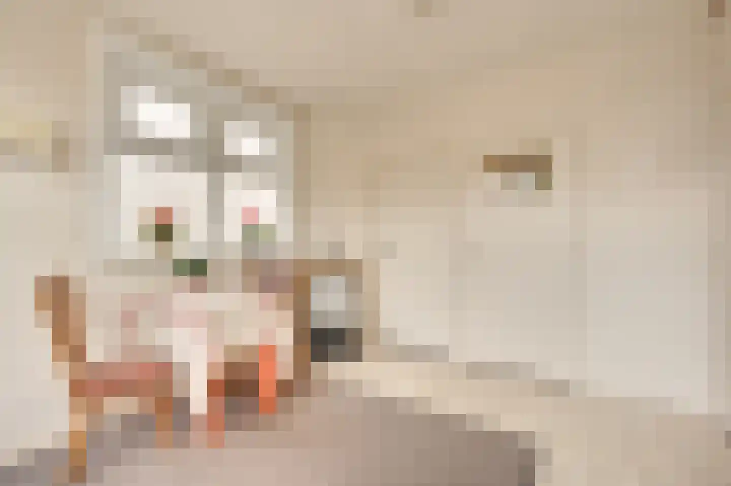 Zwinstraat 11 Retranchement thumbnail 18