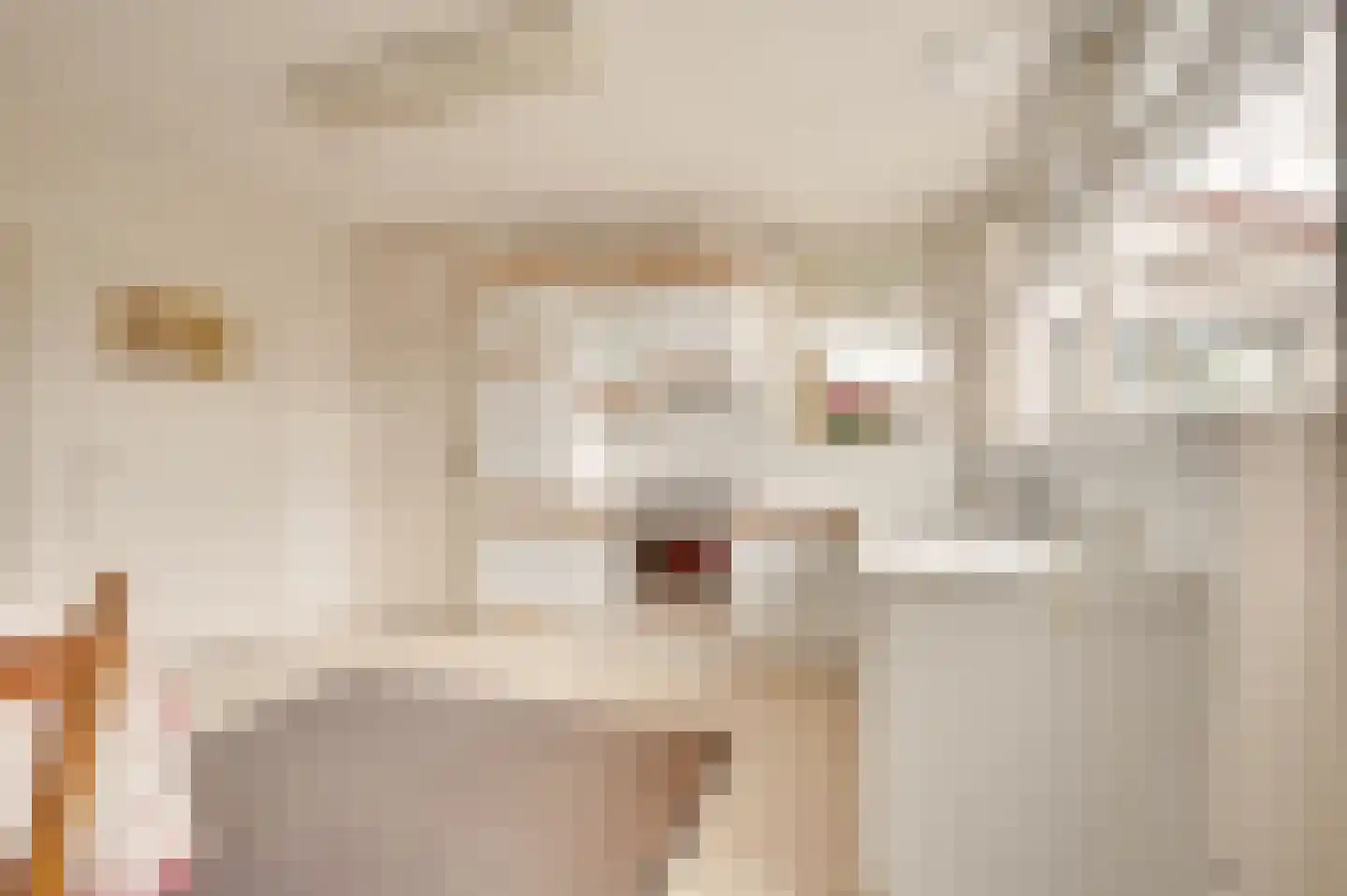 Zwinstraat 11 Retranchement thumbnail 19
