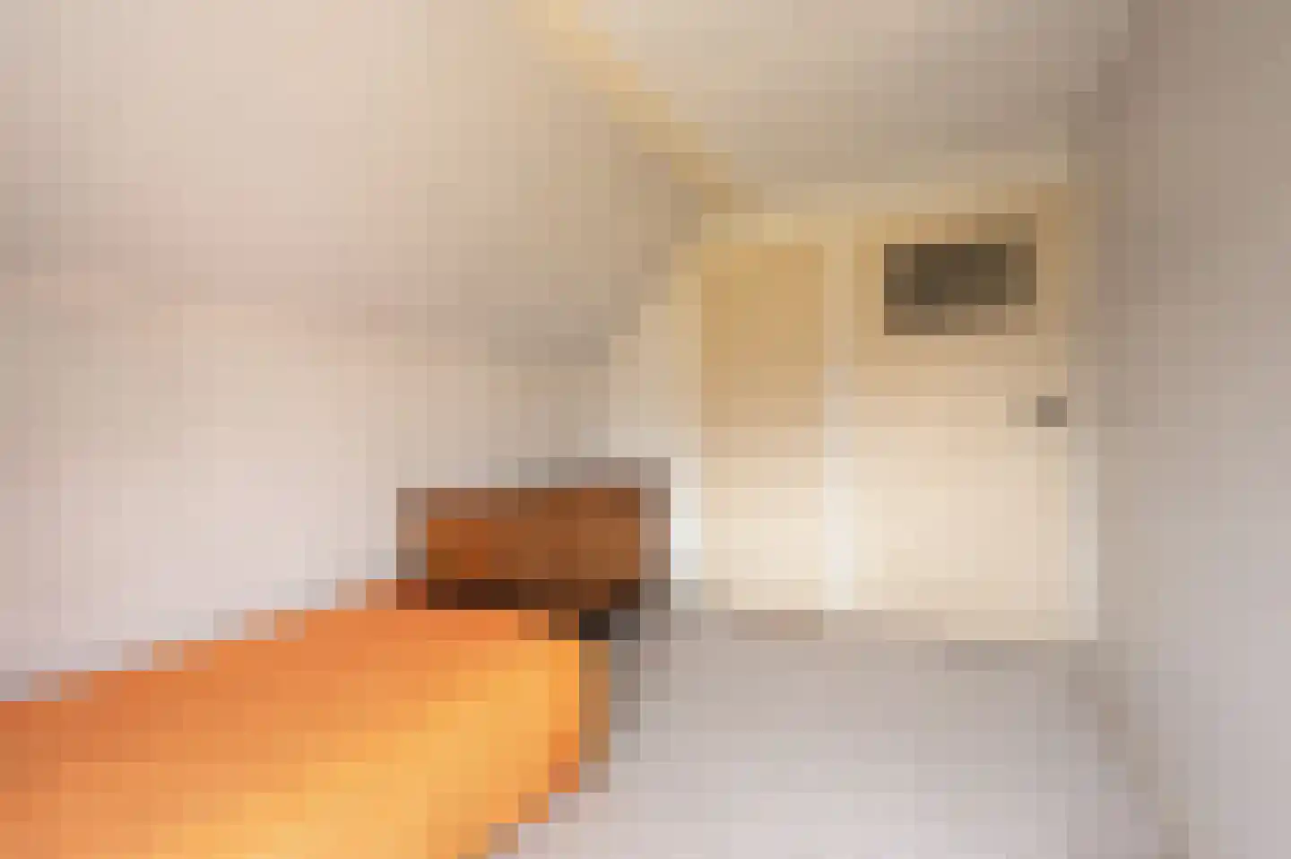 Zwinstraat 11 Retranchement thumbnail 23