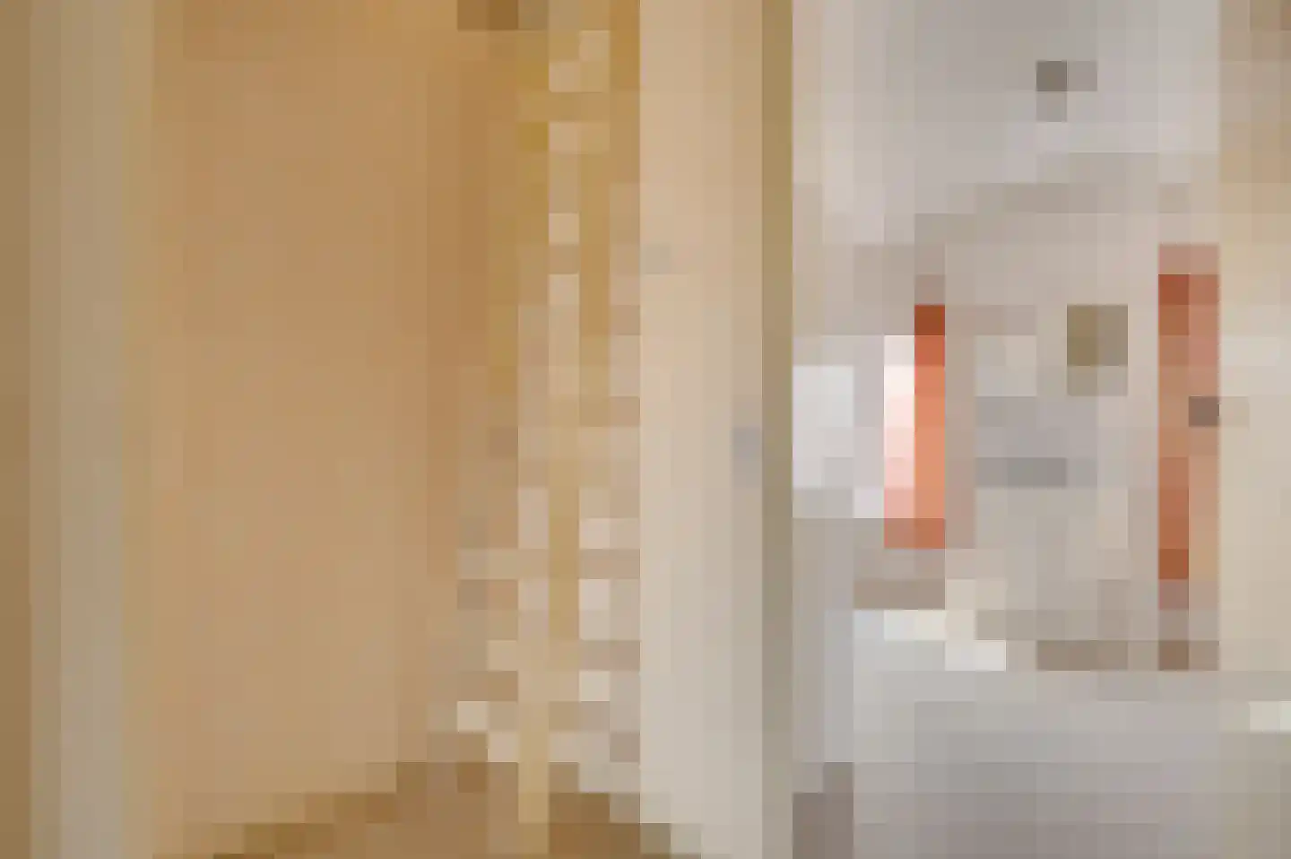 Zwinstraat 11 Retranchement thumbnail 27