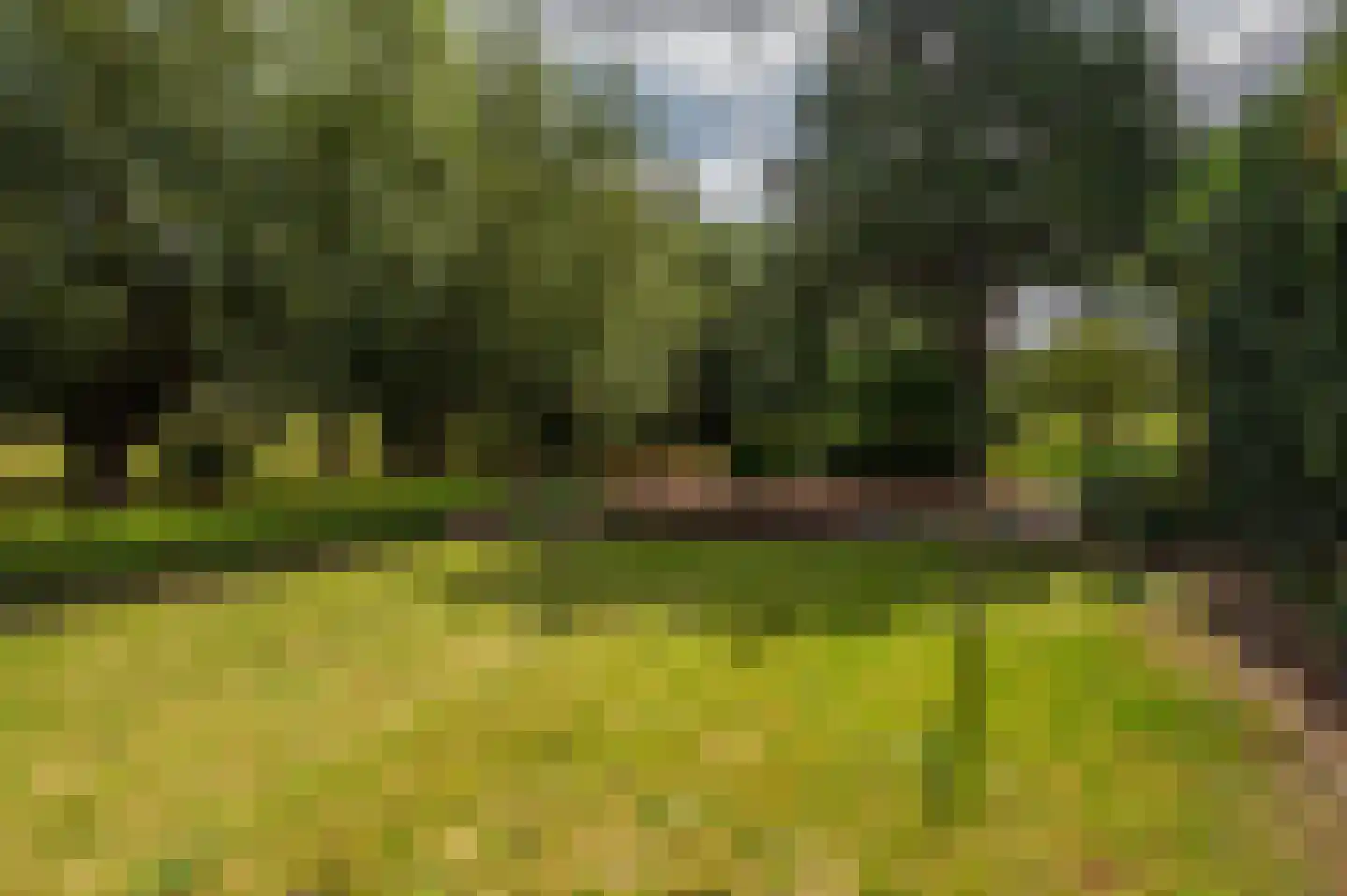 Zwinstraat 11 Retranchement thumbnail 29