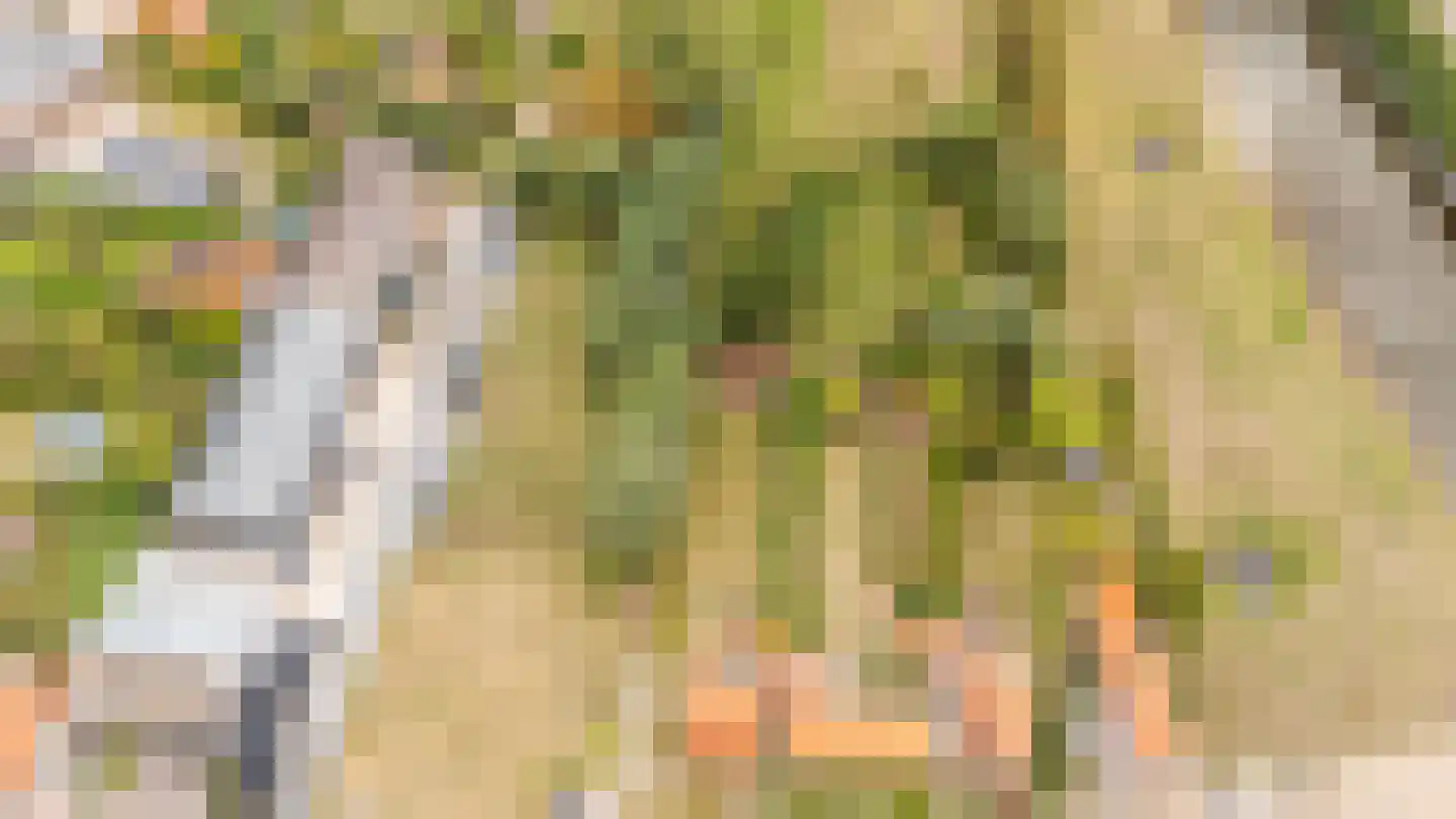 Zwinstraat 11 Retranchement thumbnail 34