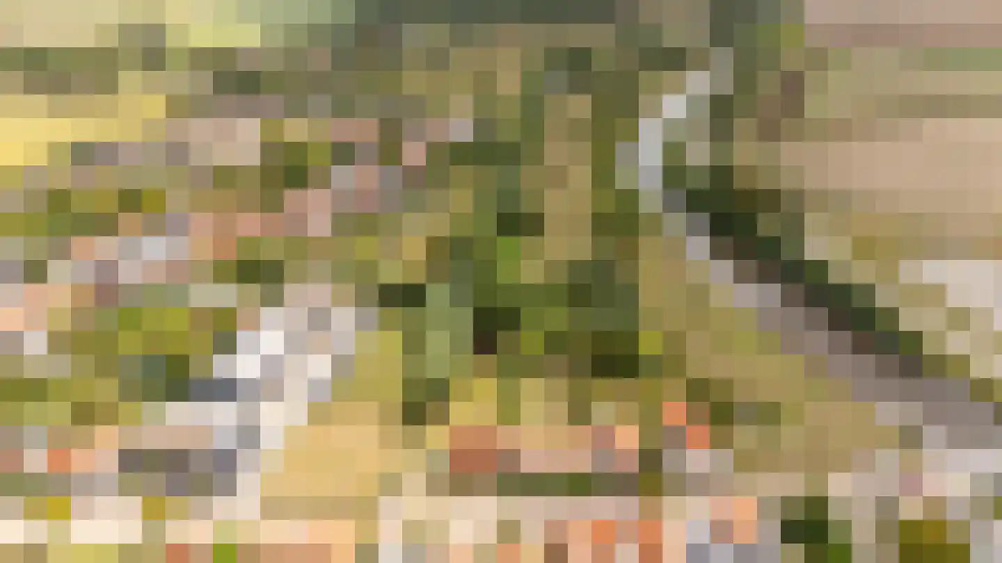 Zwinstraat 11 Retranchement thumbnail 37
