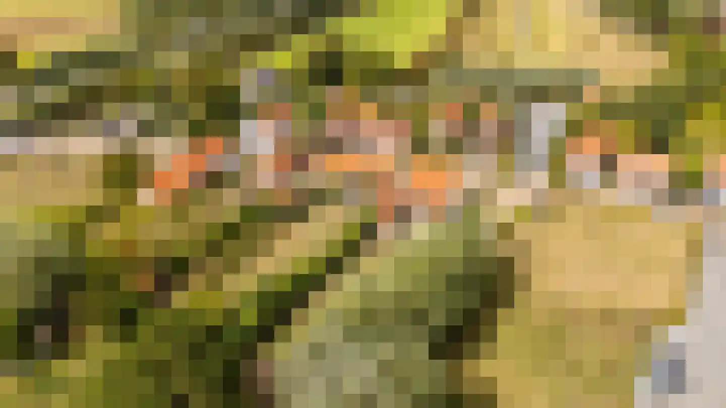 Zwinstraat 11 Retranchement thumbnail 4