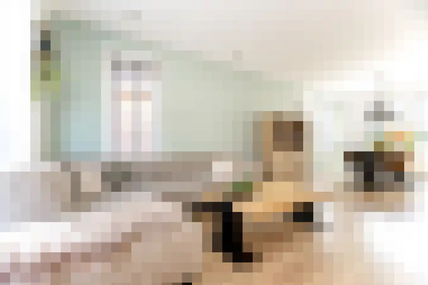 Zwinstraat 13 Den Oever thumbnail 15