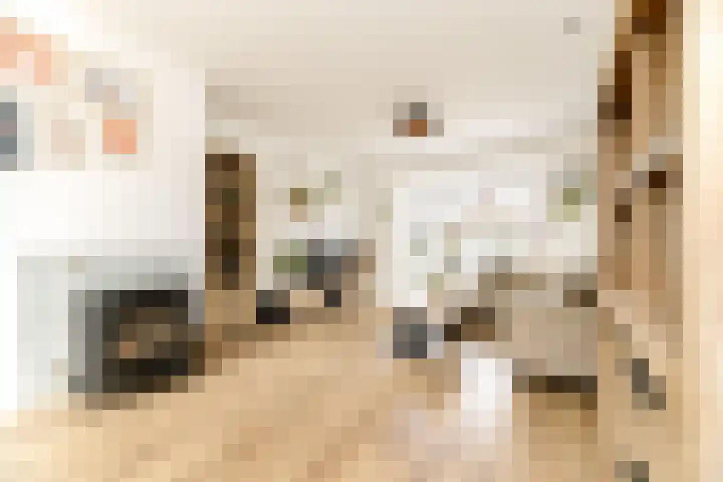 Zwinstraat 13 Den Oever thumbnail 23