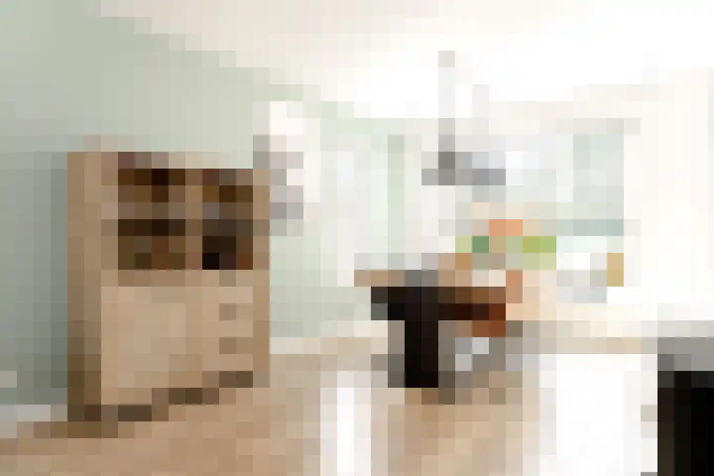 Zwinstraat 13 Den Oever thumbnail 27