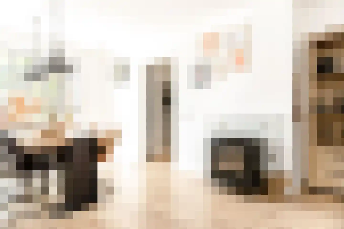 Zwinstraat 13 Den Oever thumbnail 29