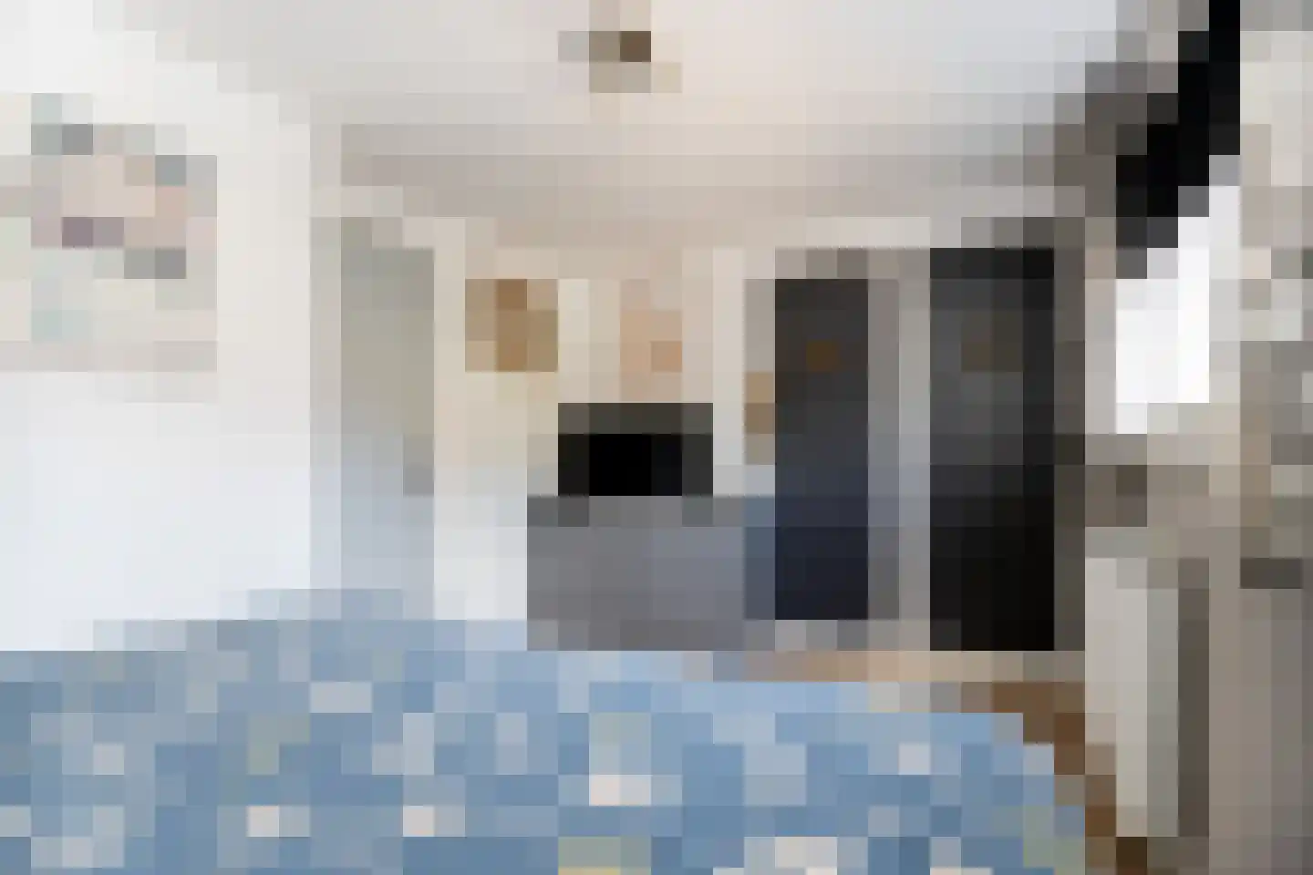 Zwinstraat 13 Den Oever thumbnail 49