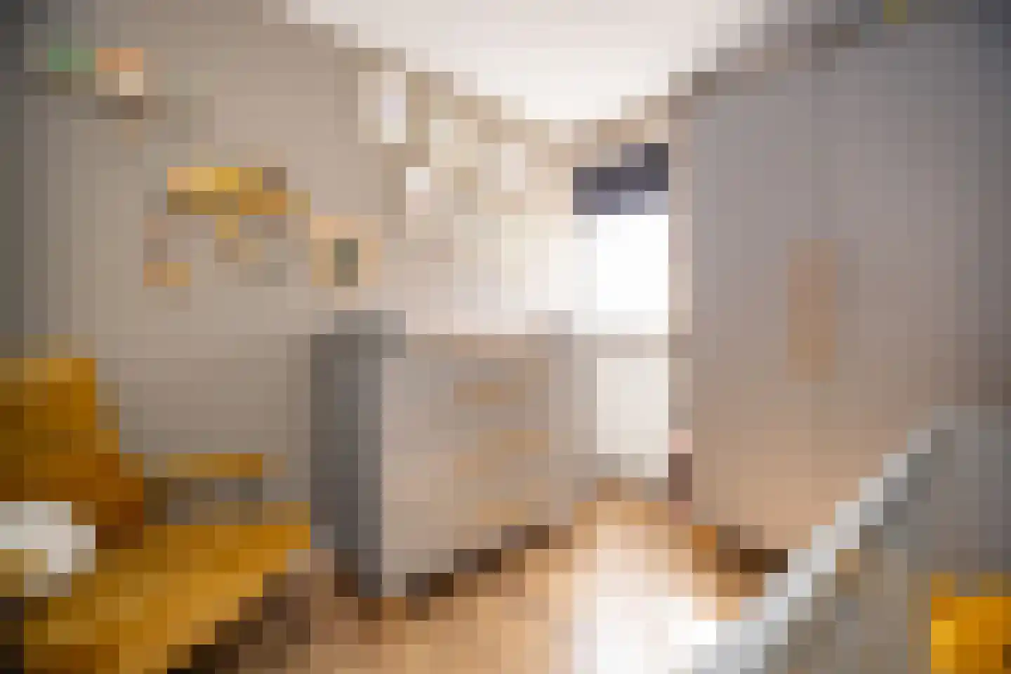 Zwinstraat 13 Den Oever thumbnail 62