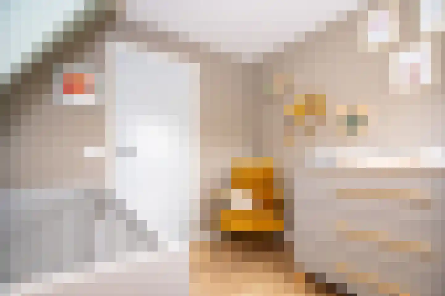 Zwinstraat 13 Den Oever thumbnail 66