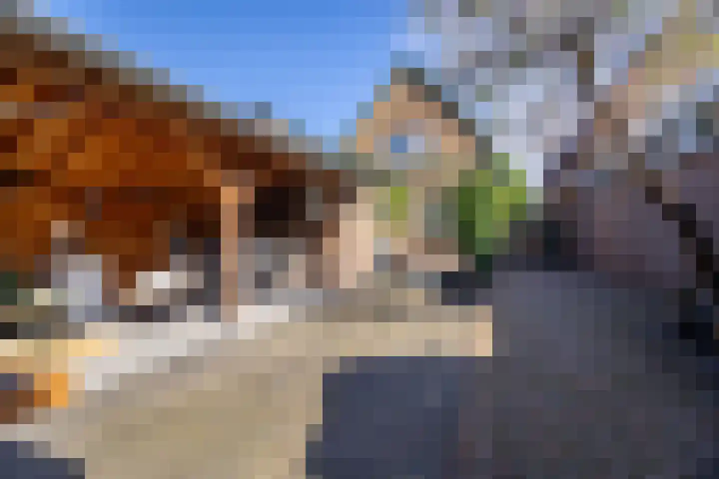Zwinstraat 13 Den Oever thumbnail 68