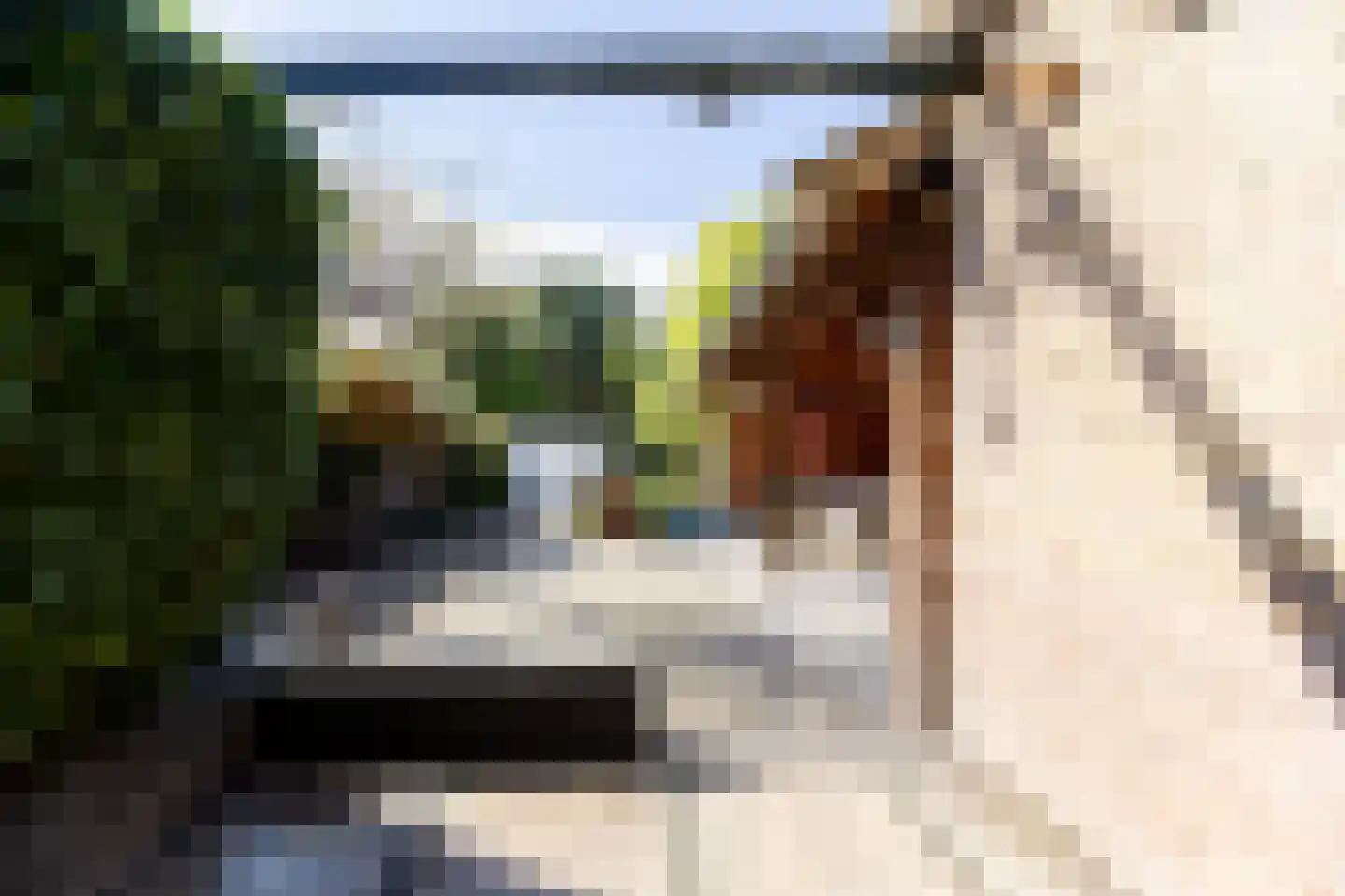 Zwinstraat 13 Den Oever thumbnail 72