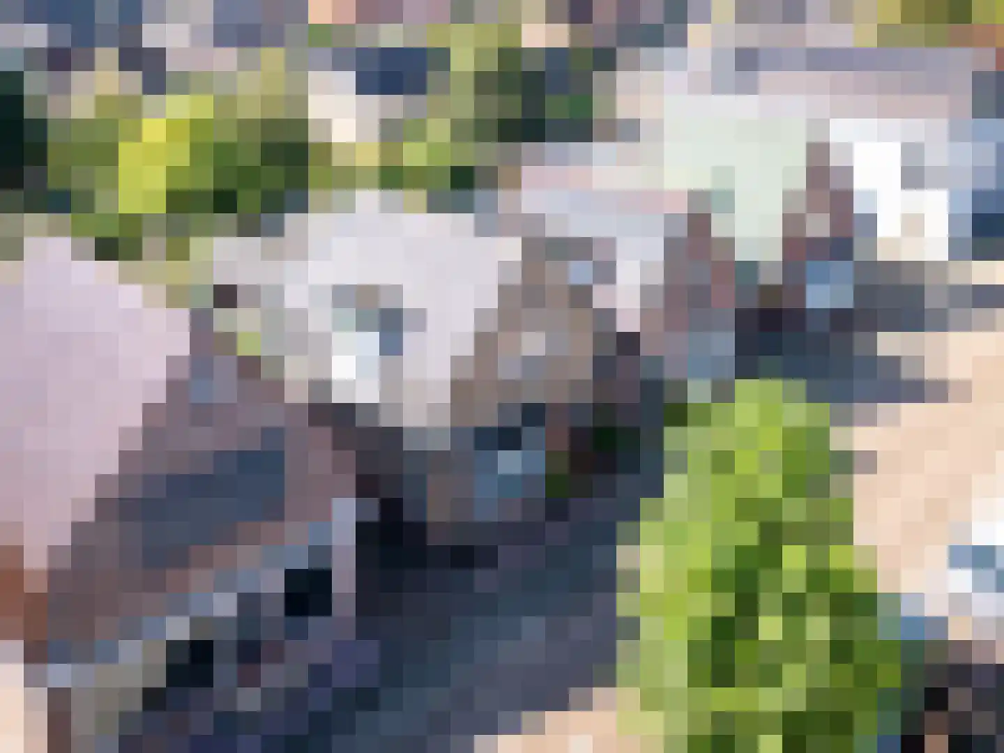 Zwinstraat 13 Den Oever thumbnail 8