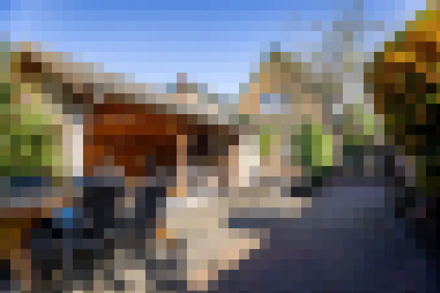 Zwinstraat 13 Den Oever thumbnail 81
