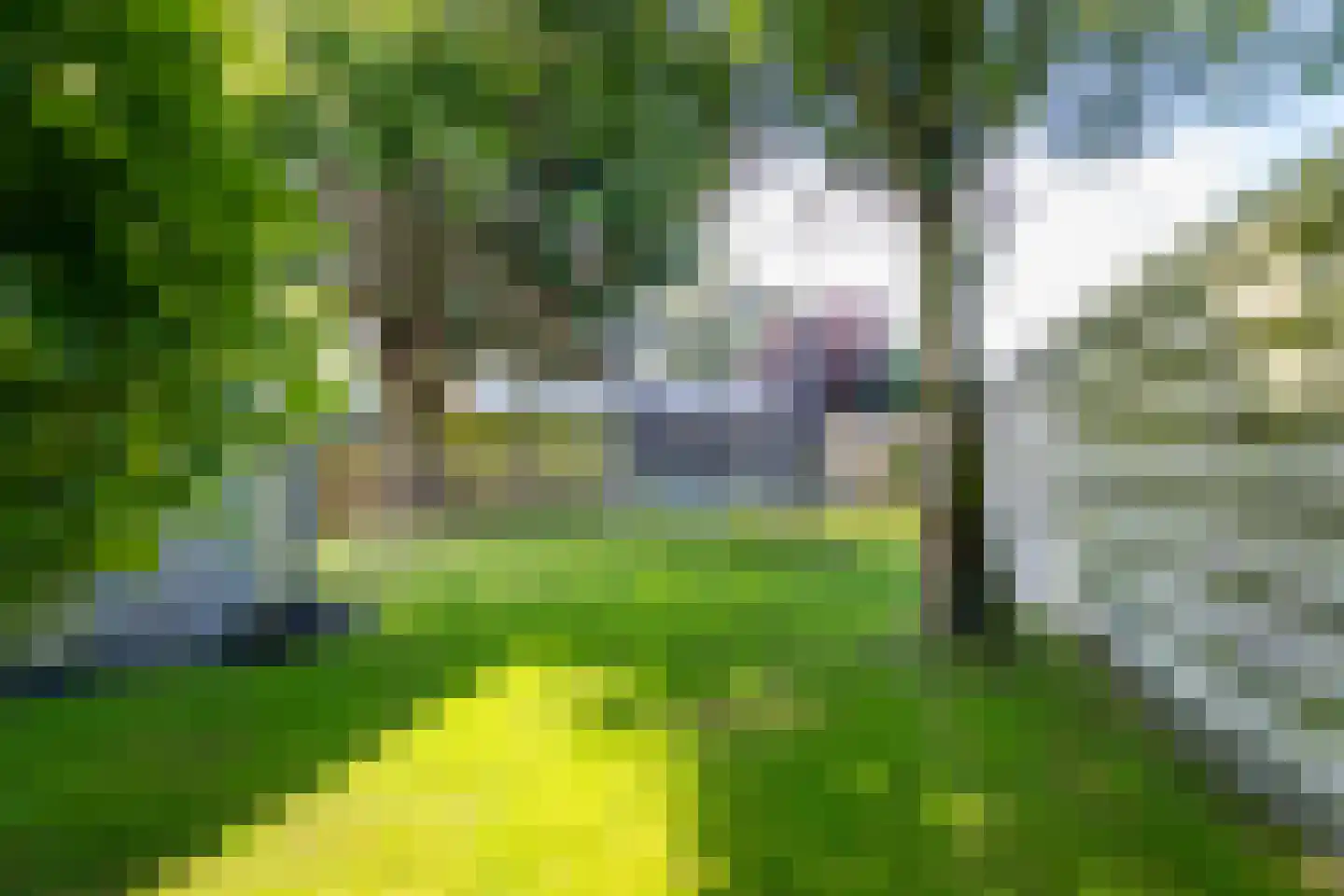 Zwinstraat 13 Den Oever thumbnail 86