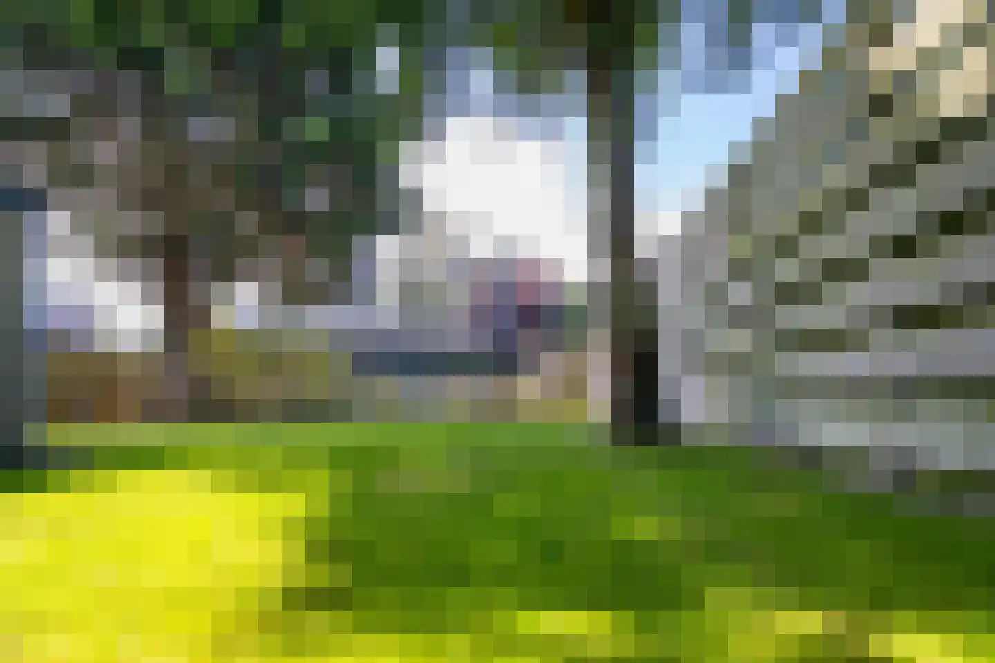 Zwinstraat 13 Den Oever thumbnail 93