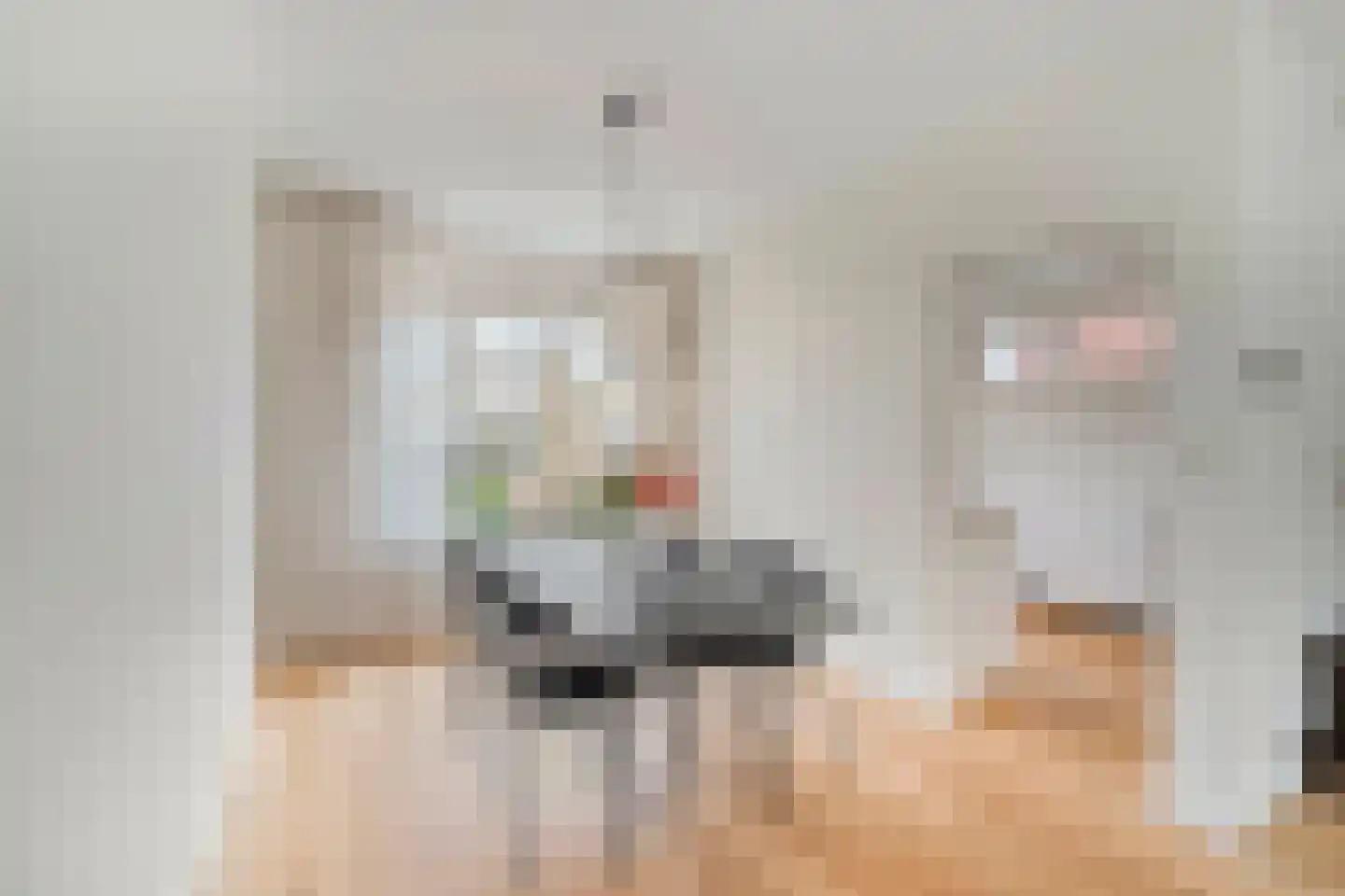 Zwinstraat 14 Den Oever thumbnail 18