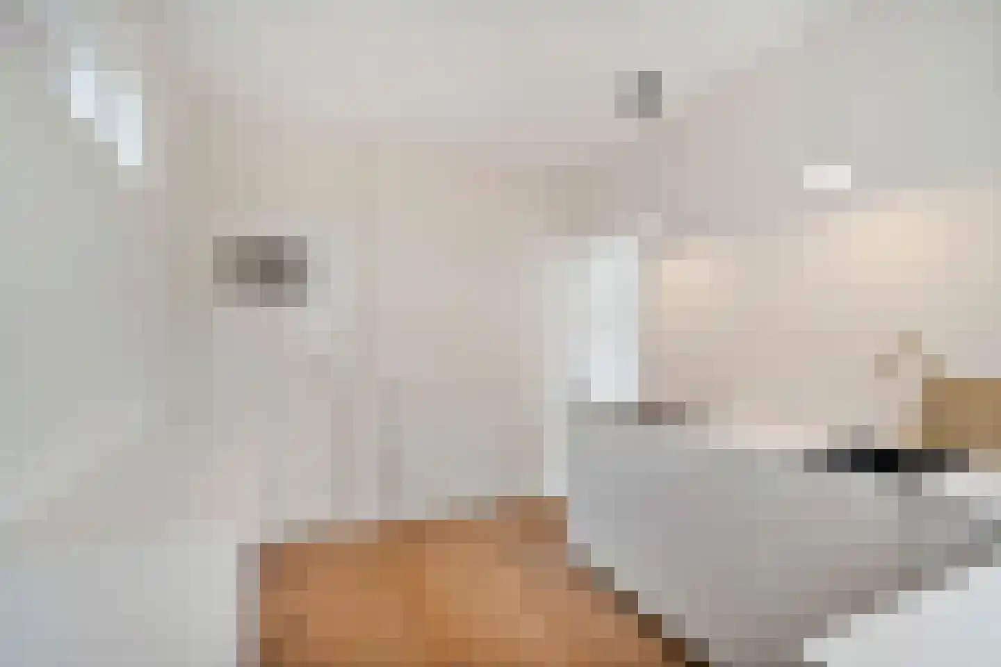 Zwinstraat 14 Den Oever thumbnail 20