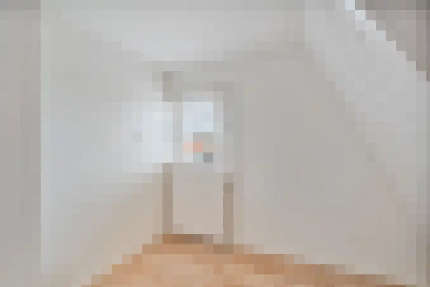 Zwinstraat 14 Den Oever thumbnail 33