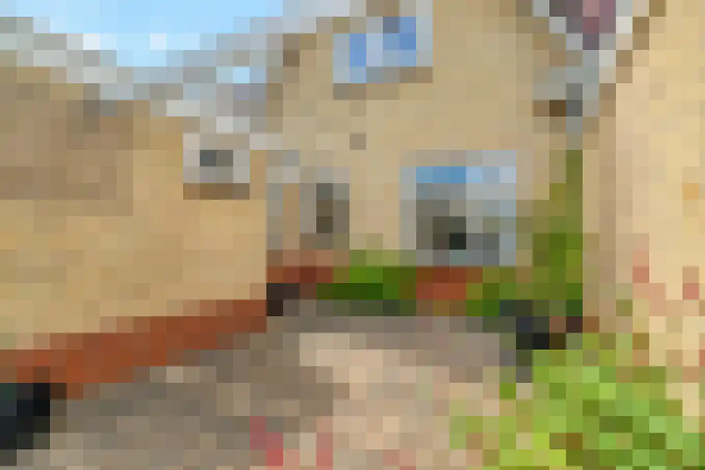 Zwinstraat 14 Den Oever thumbnail 40