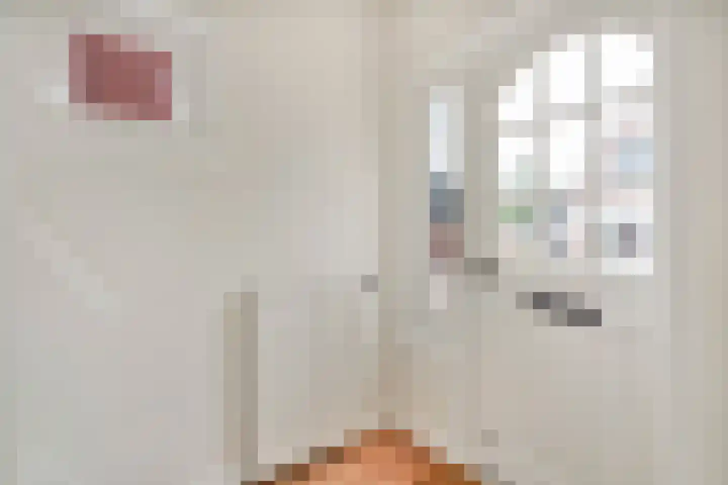 Zwinstraat 14 Den Oever thumbnail 9