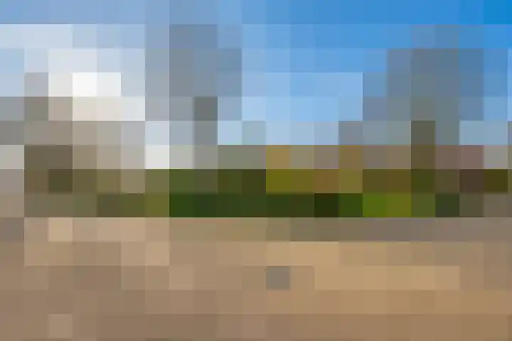Zwinstraat 20 Zoutelande thumbnail 5