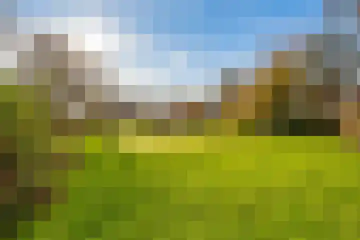 Zwinstraat 20 Zoutelande thumbnail 6