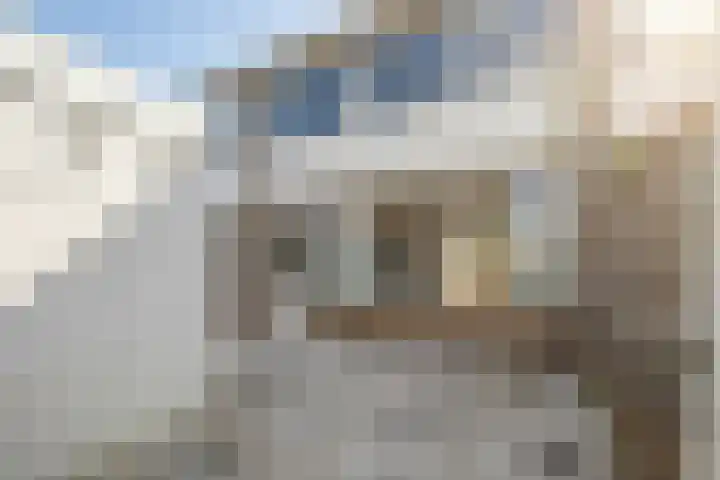 Zwinstraat 20 Zoutelande thumbnail 7