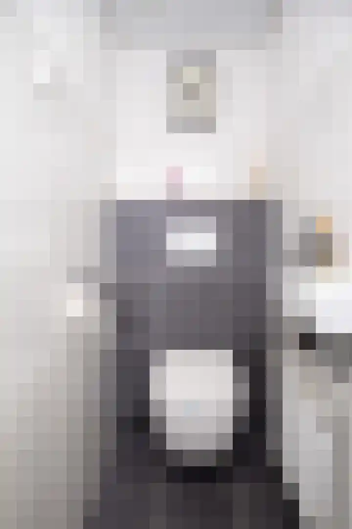 Zwinstraat 29 Den Oever thumbnail 12