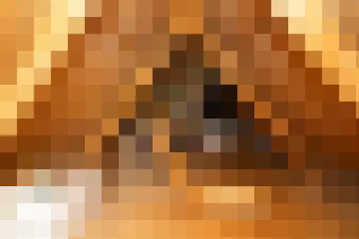 Zwinstraat 29 Den Oever thumbnail 23
