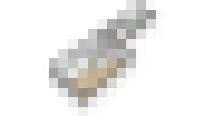 Zwinstraat 29 Den Oever thumbnail 29