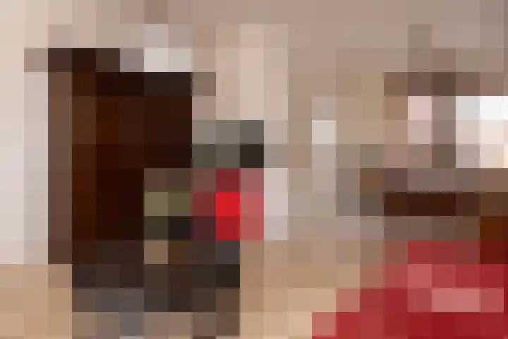 Zwinstraat 29 Den Oever thumbnail 4