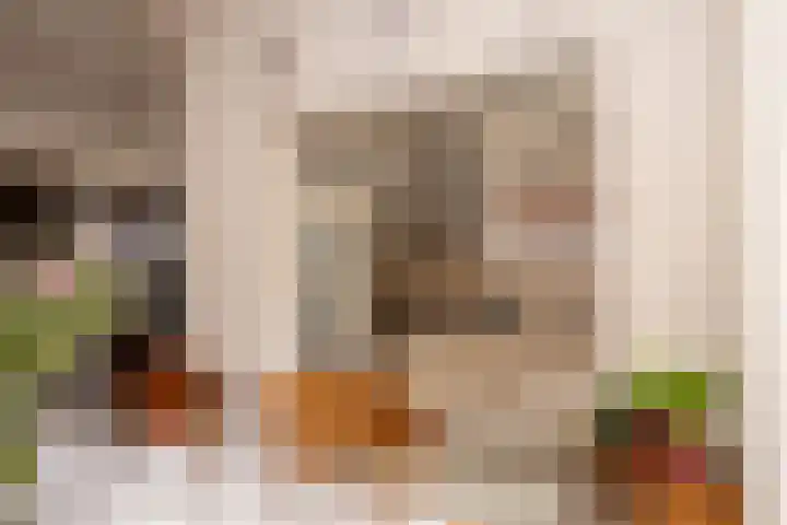 Zwinstraat 29 Den Oever thumbnail 7
