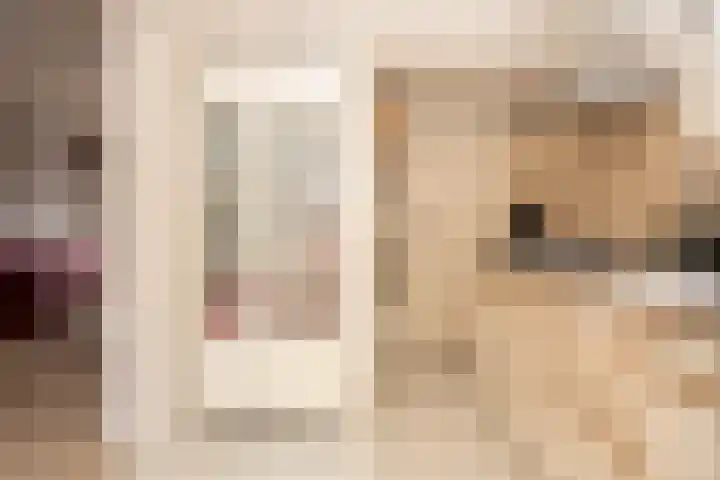 Zwinstraat 29 Den Oever thumbnail 9