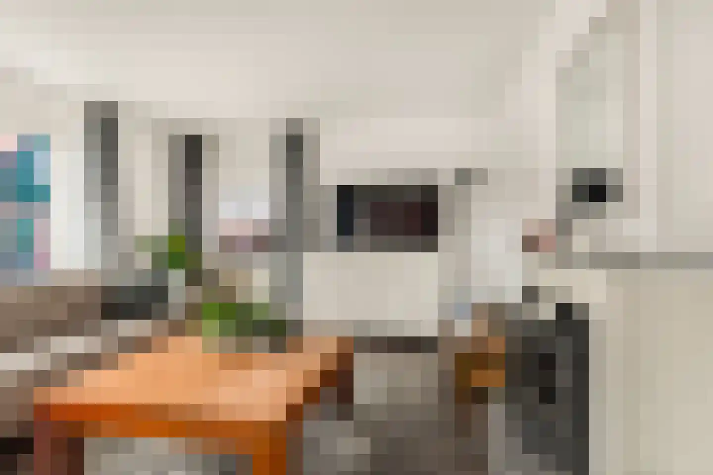 Zwinstraat 30 Den Oever thumbnail 16