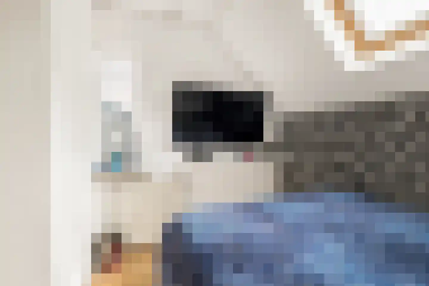 Zwinstraat 30 Den Oever thumbnail 22