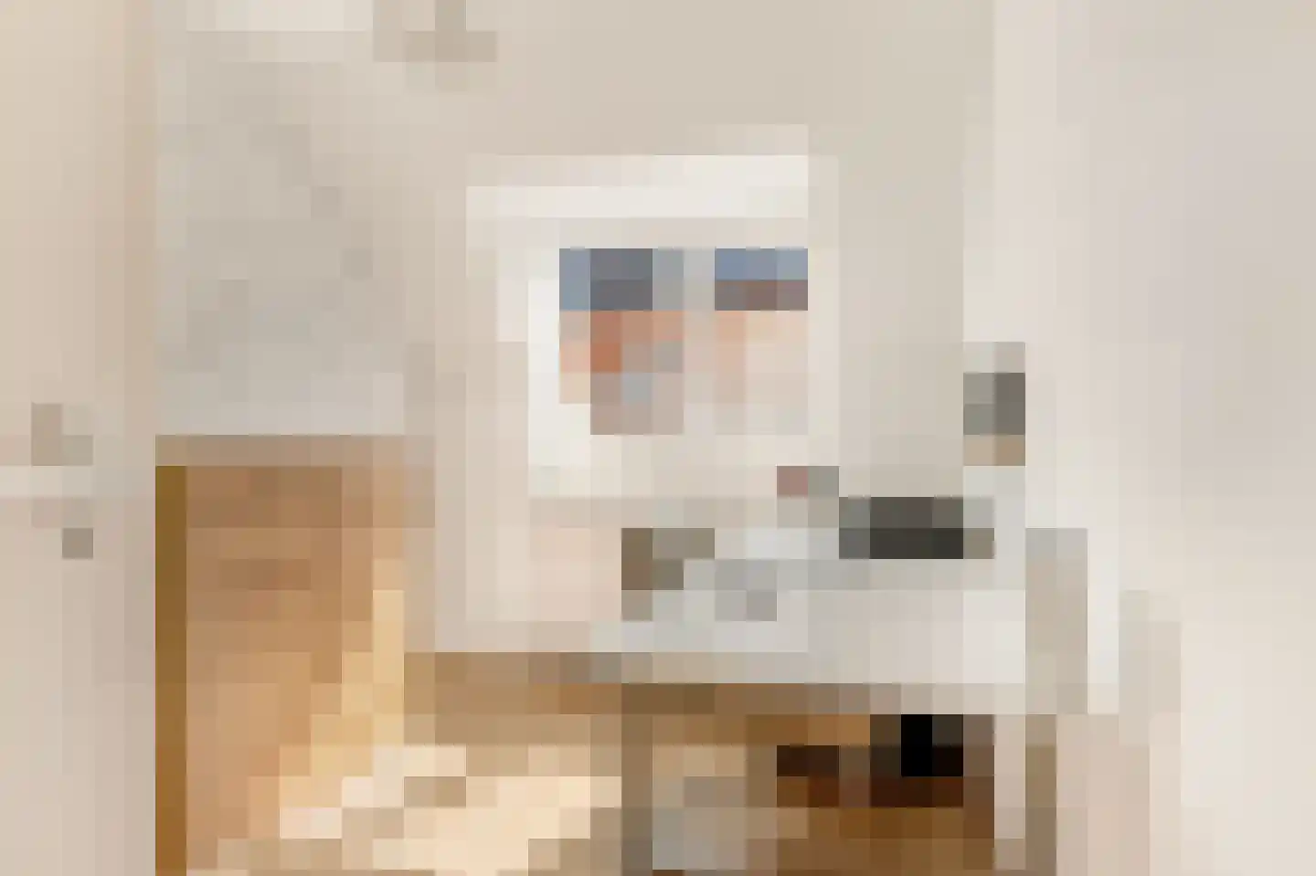 Zwinstraat 30 Den Oever thumbnail 26