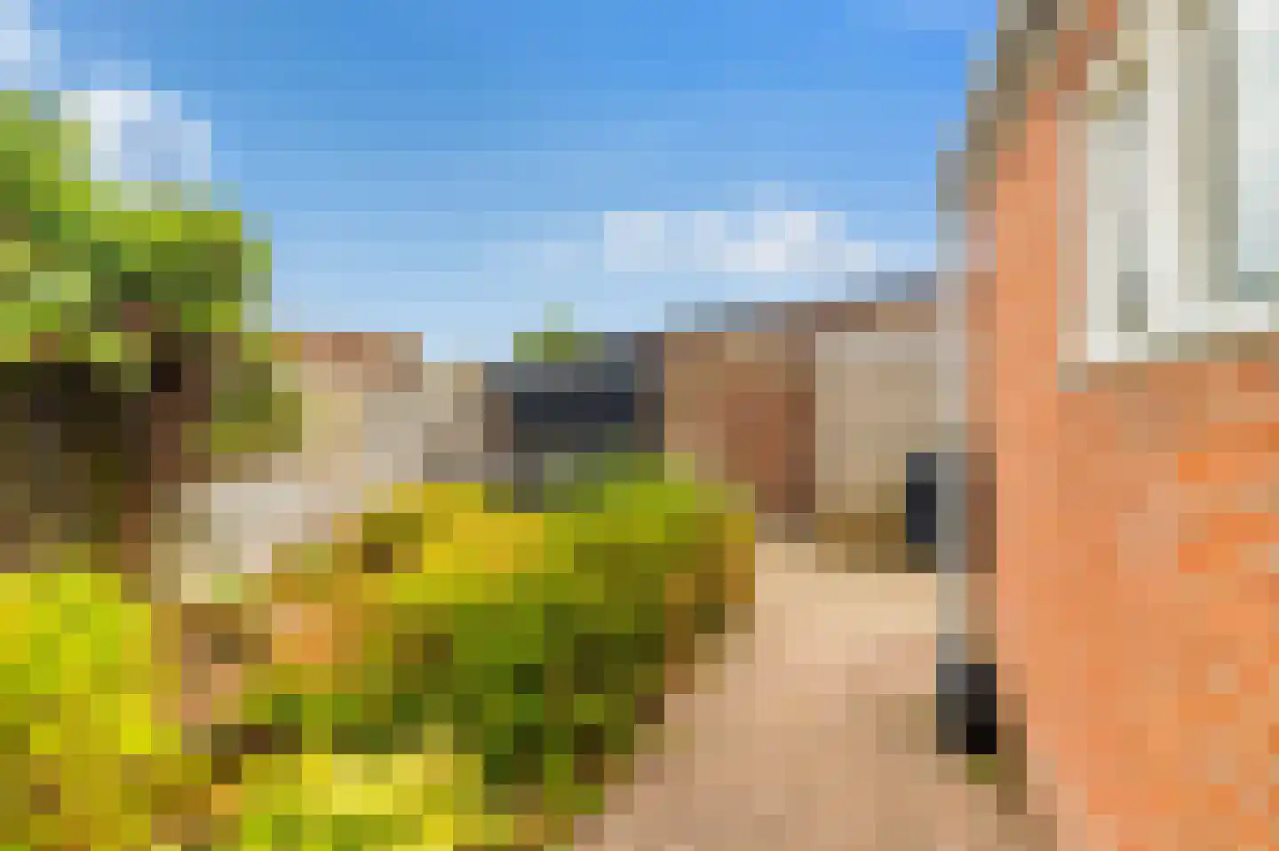Zwinstraat 30 Den Oever thumbnail 36
