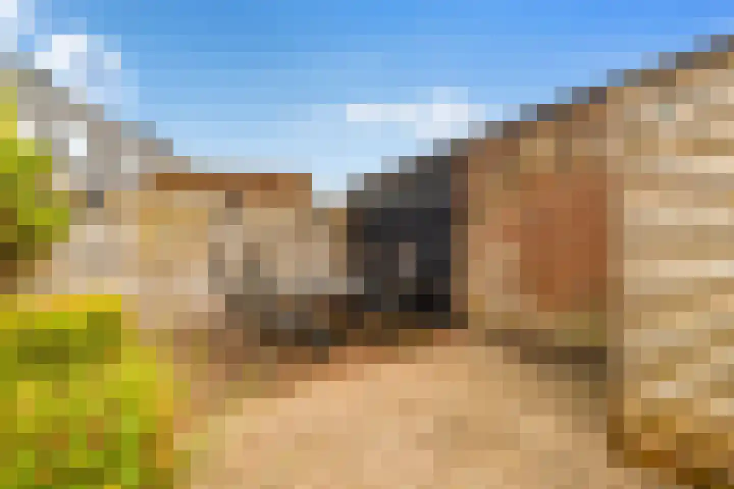 Zwinstraat 30 Den Oever thumbnail 37