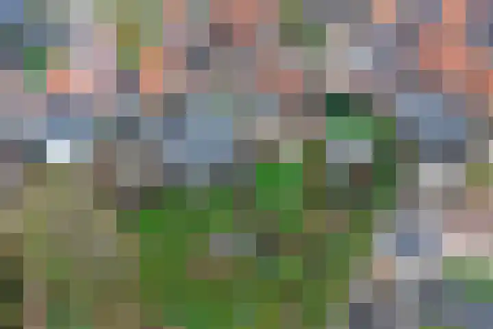 Zwinstraat 34 Den Oever thumbnail 28