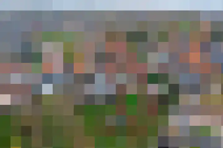 Zwinstraat 34 Den Oever thumbnail 29