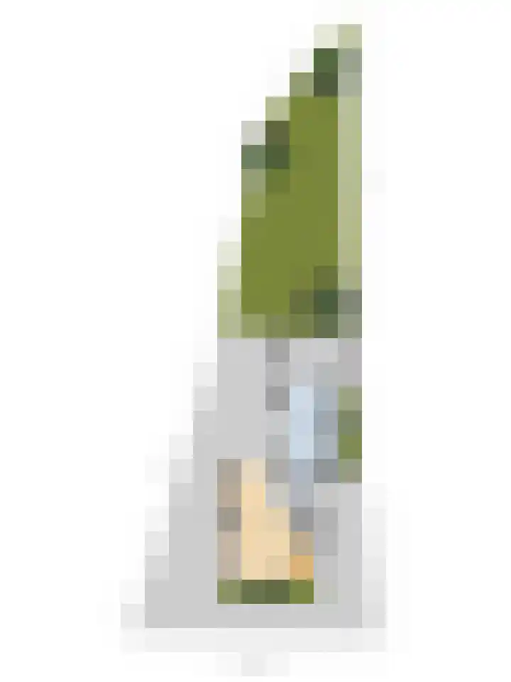 Zwinstraat 34 Den Oever thumbnail 32
