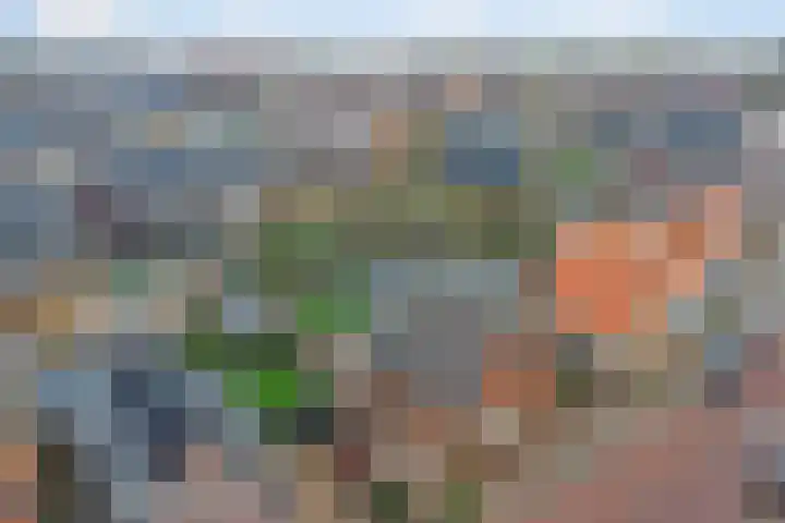 Zwinstraat 34 Den Oever thumbnail 4