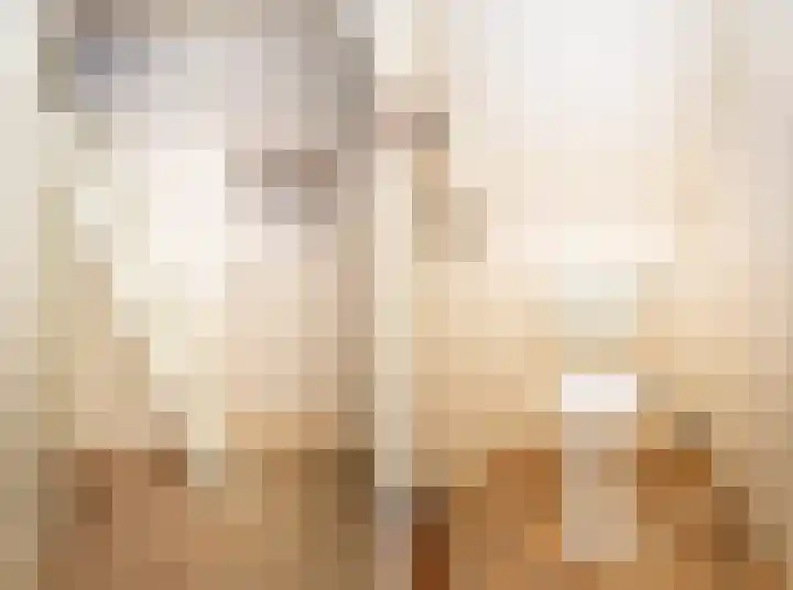 Zwinstraat 62 Den Oever thumbnail 11