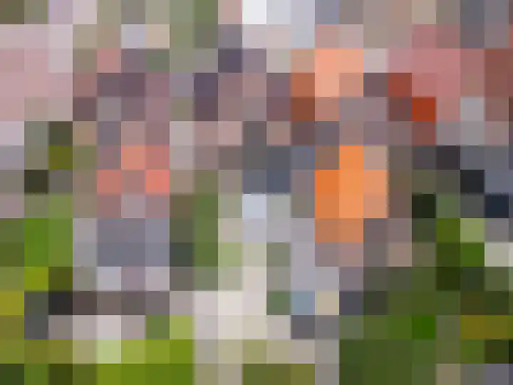 Zwinstraat 62 Den Oever thumbnail 17